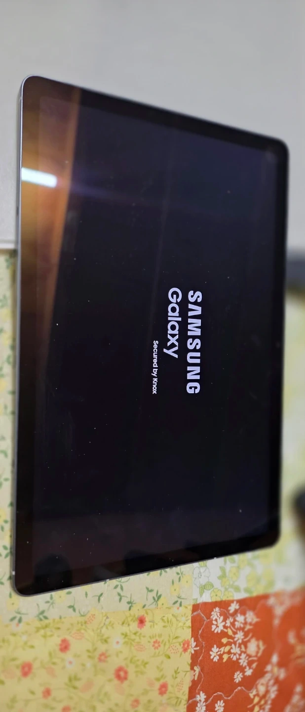 삼성 갤럭시 탭 S10 FE (Wi-Fi) 128GB +정품케이스 (풀박스)
