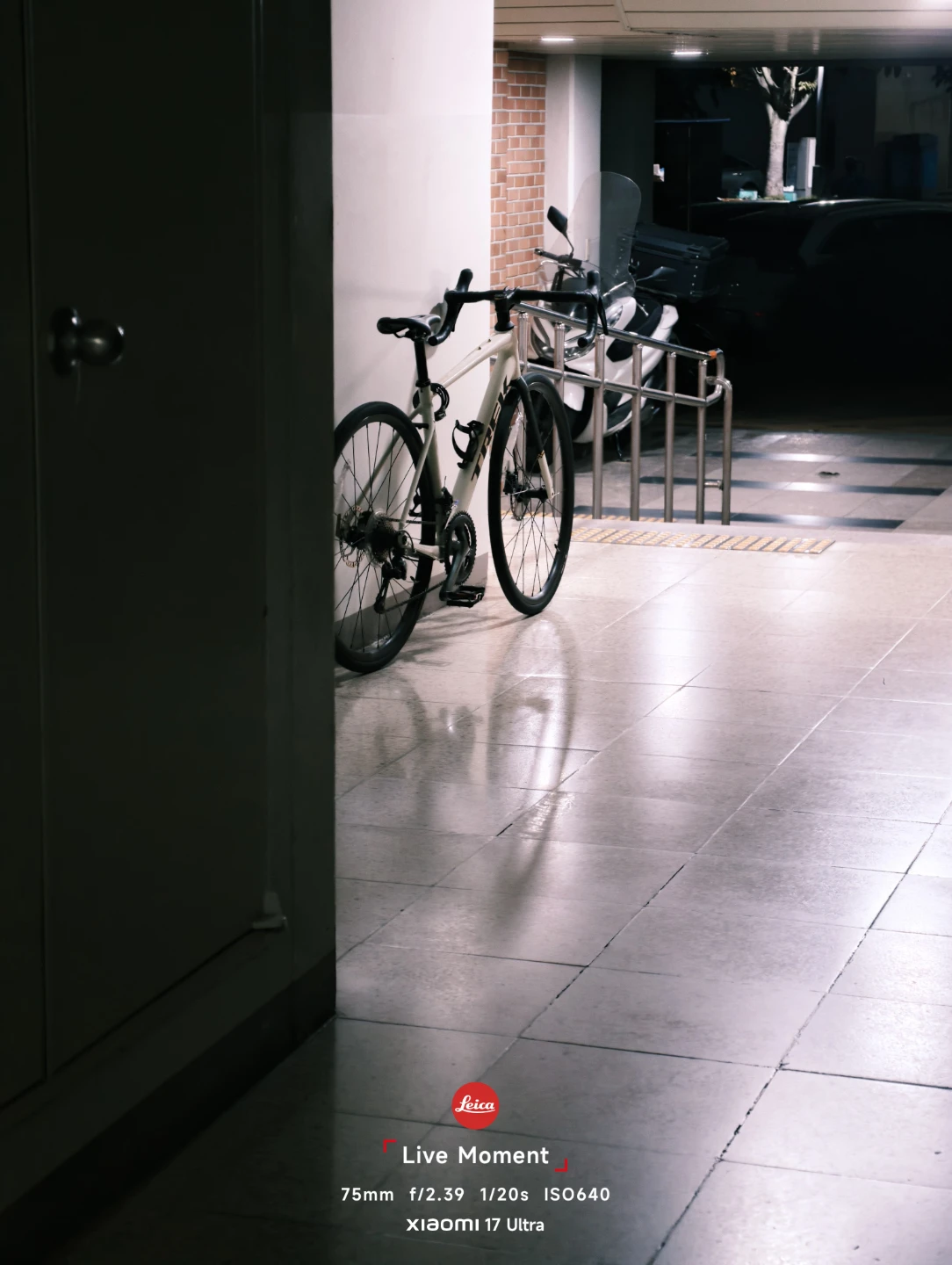도마니 AL4 로드 자전거 엔듀런스 s 대차가능 | 스포츠/레저 | 당근 중고거래