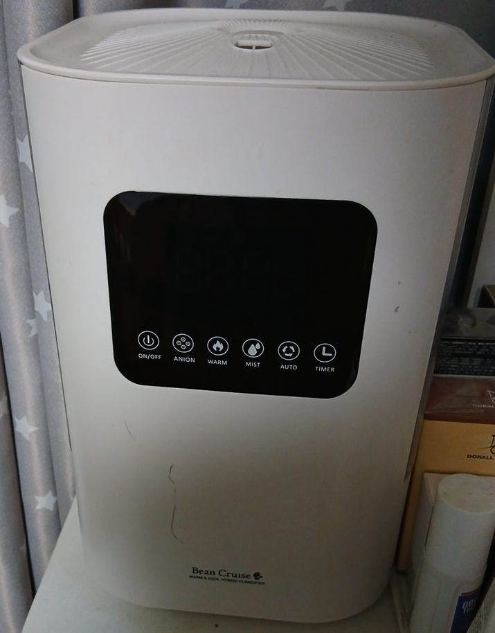 Bean Cruise 가습기 중고
