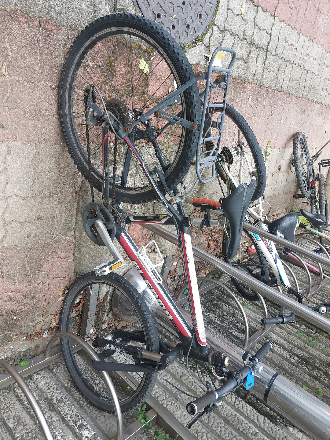 엘파라 중고 자전거