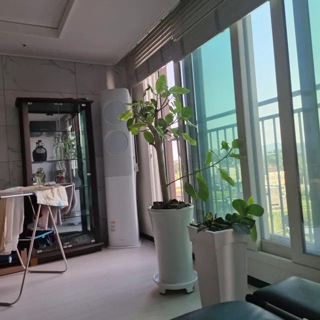 꿀레어