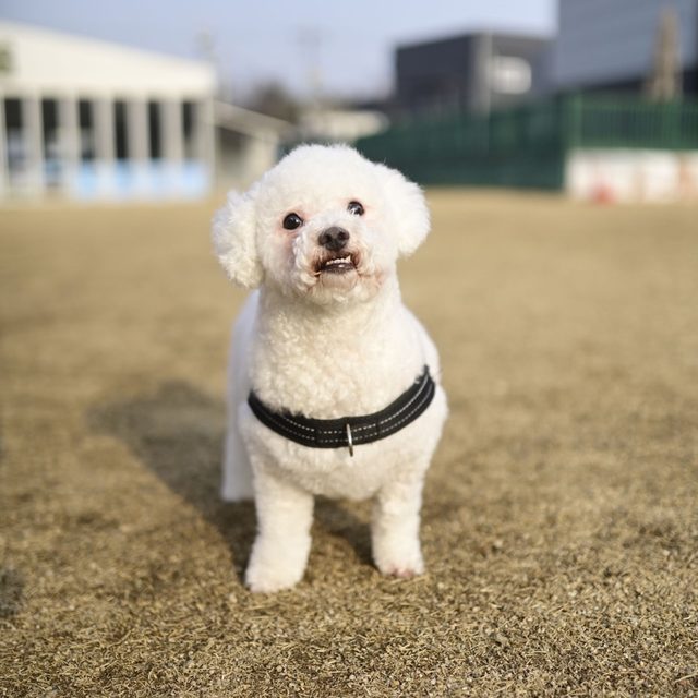 한석봉 프로필 이미지