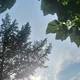 하나둘