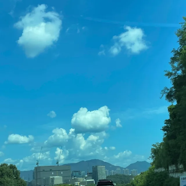 간결당근