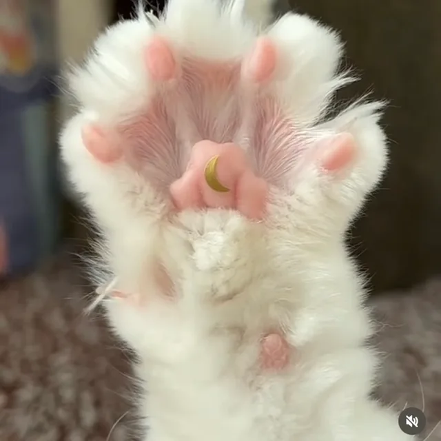 파는거보다사는게많다