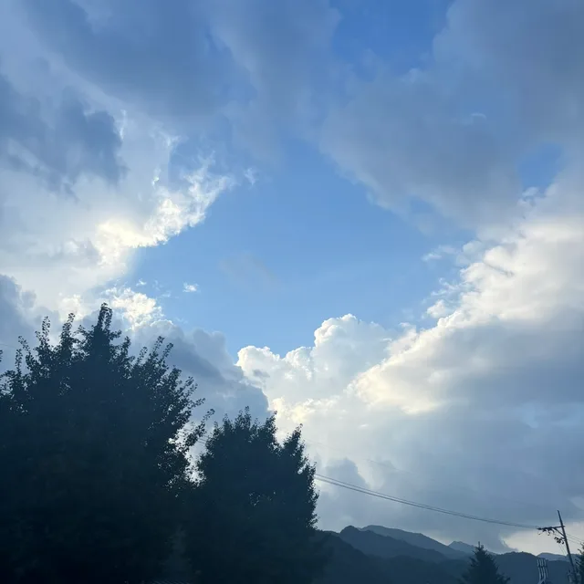 뽀나