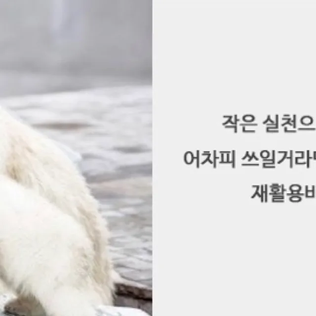 준잉