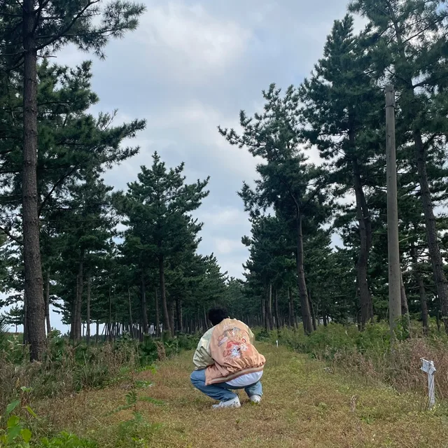 얼룩이