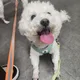 22부평