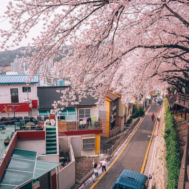 냥발