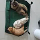 요셉씨는당근중