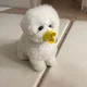 얼세