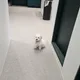 신생아