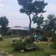 변호사맘