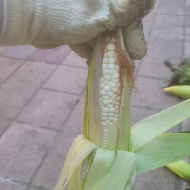 사랑스런나