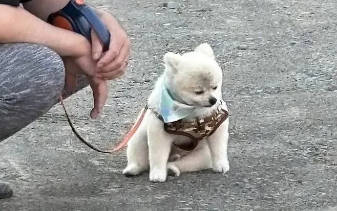 벨딩