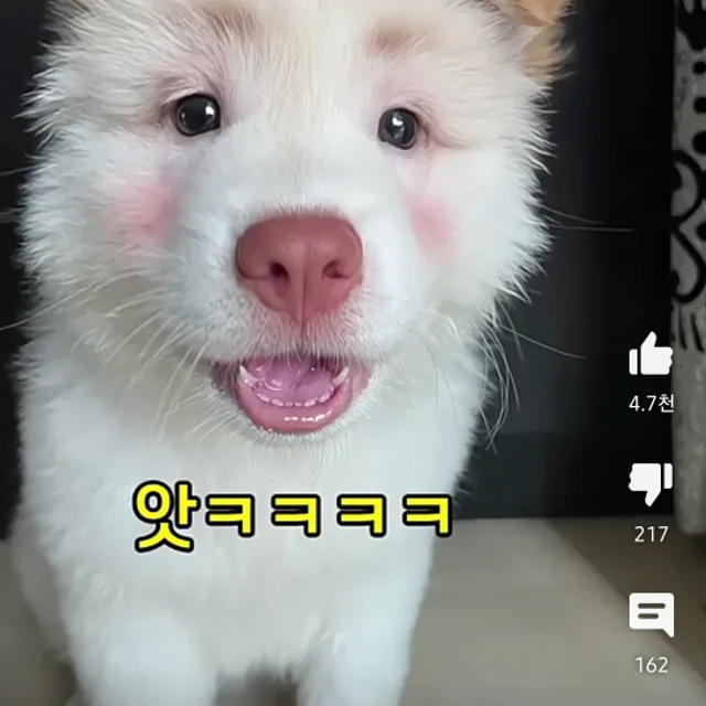 쓰레빠달려2