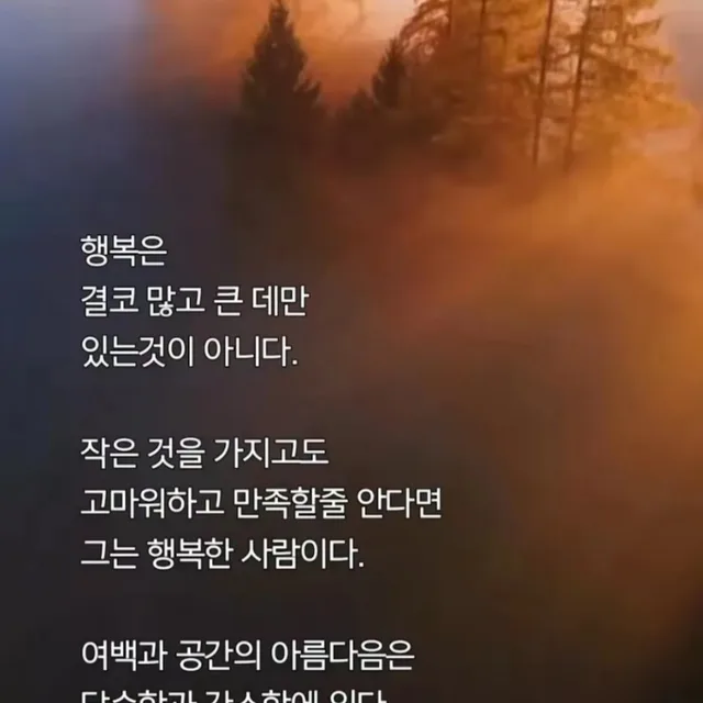 블루돌고래
