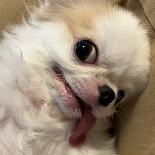 오늘만살아요