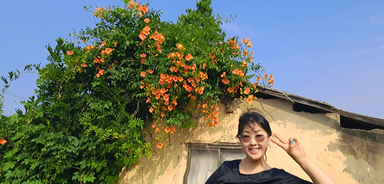 뽀샤시