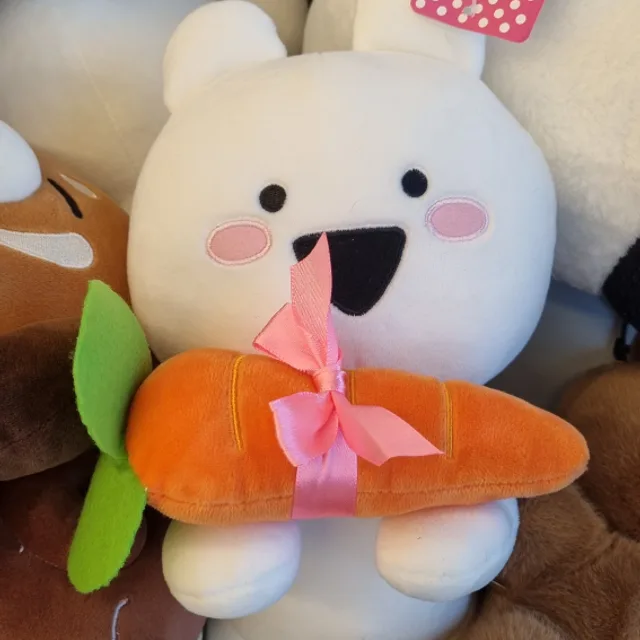 당근공쥬