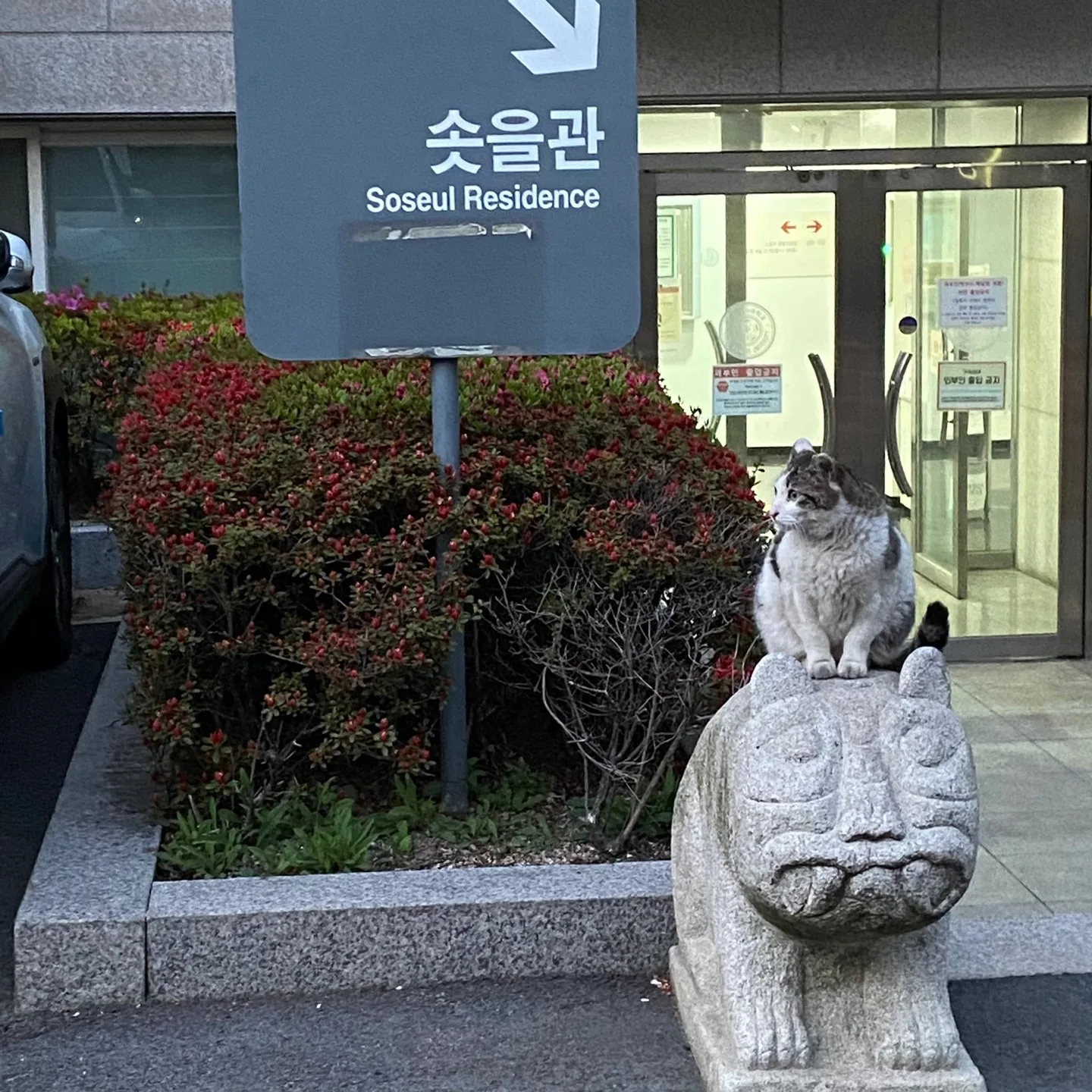 자연