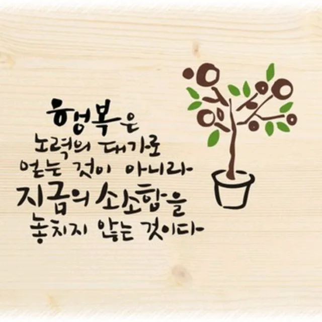 초긍정
