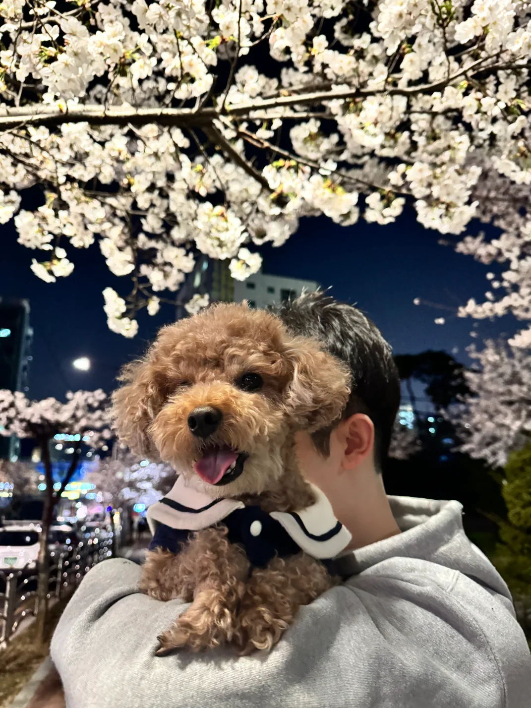 부천신혼댁
