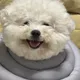 몽이랑엘리