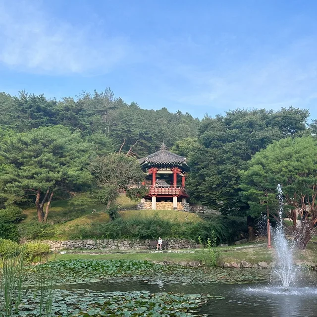 사가사가