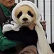 유노짱