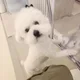 미니멀리즘