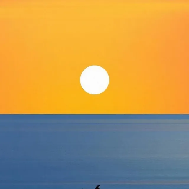 도토리
