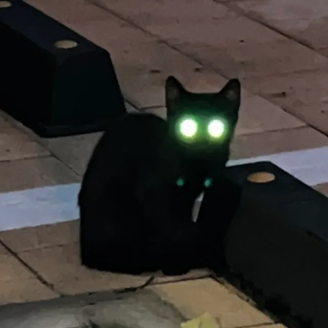 ludddudddu