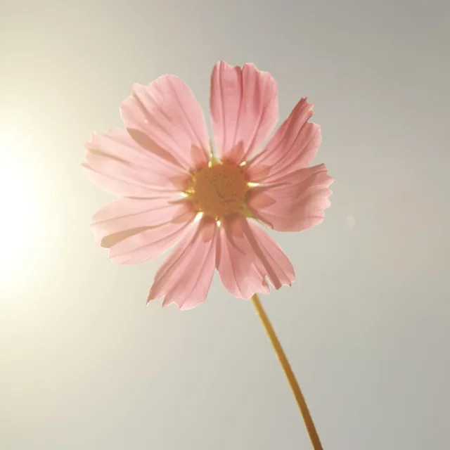 신도림해결사
