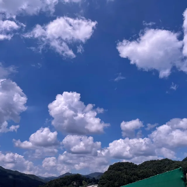 세리