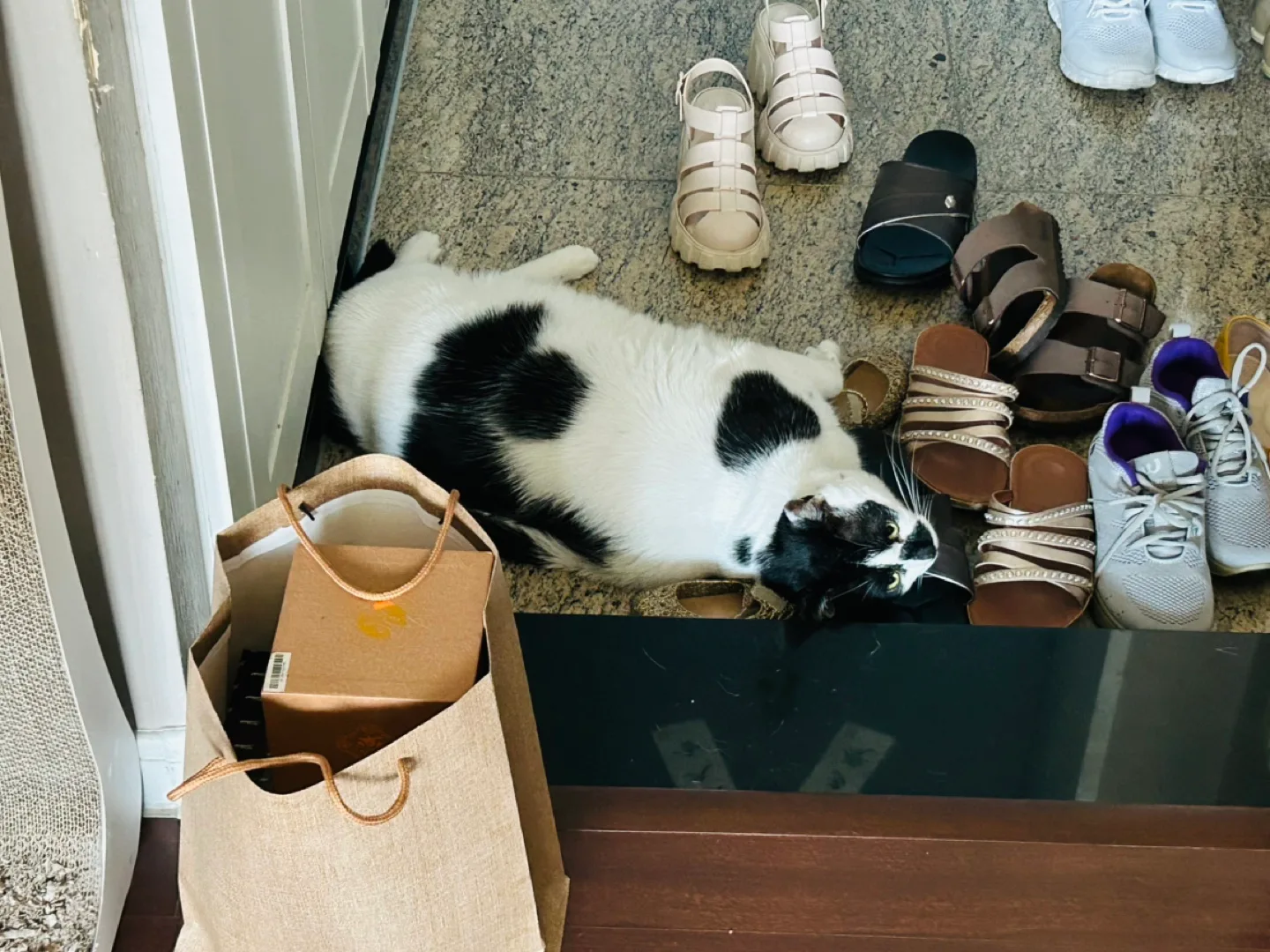 먹어라당근