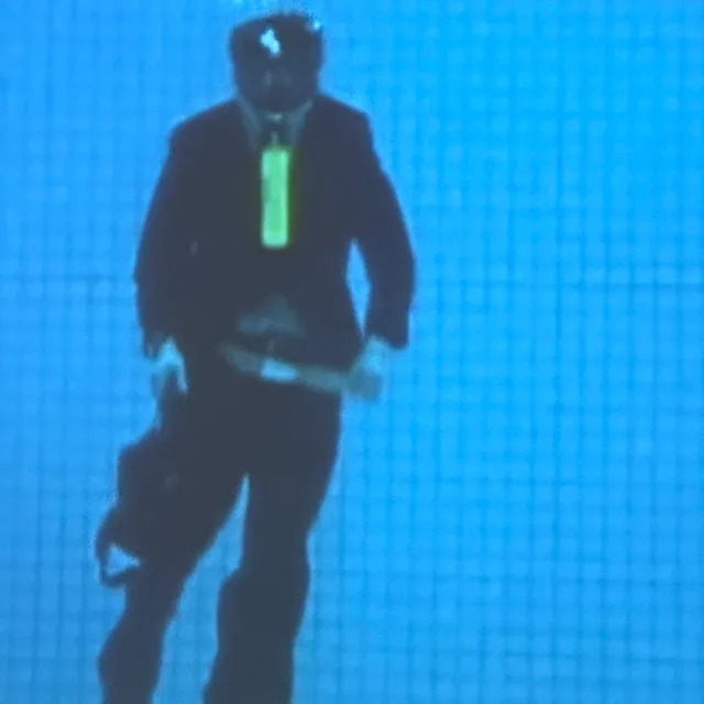 바쁜벌꿀