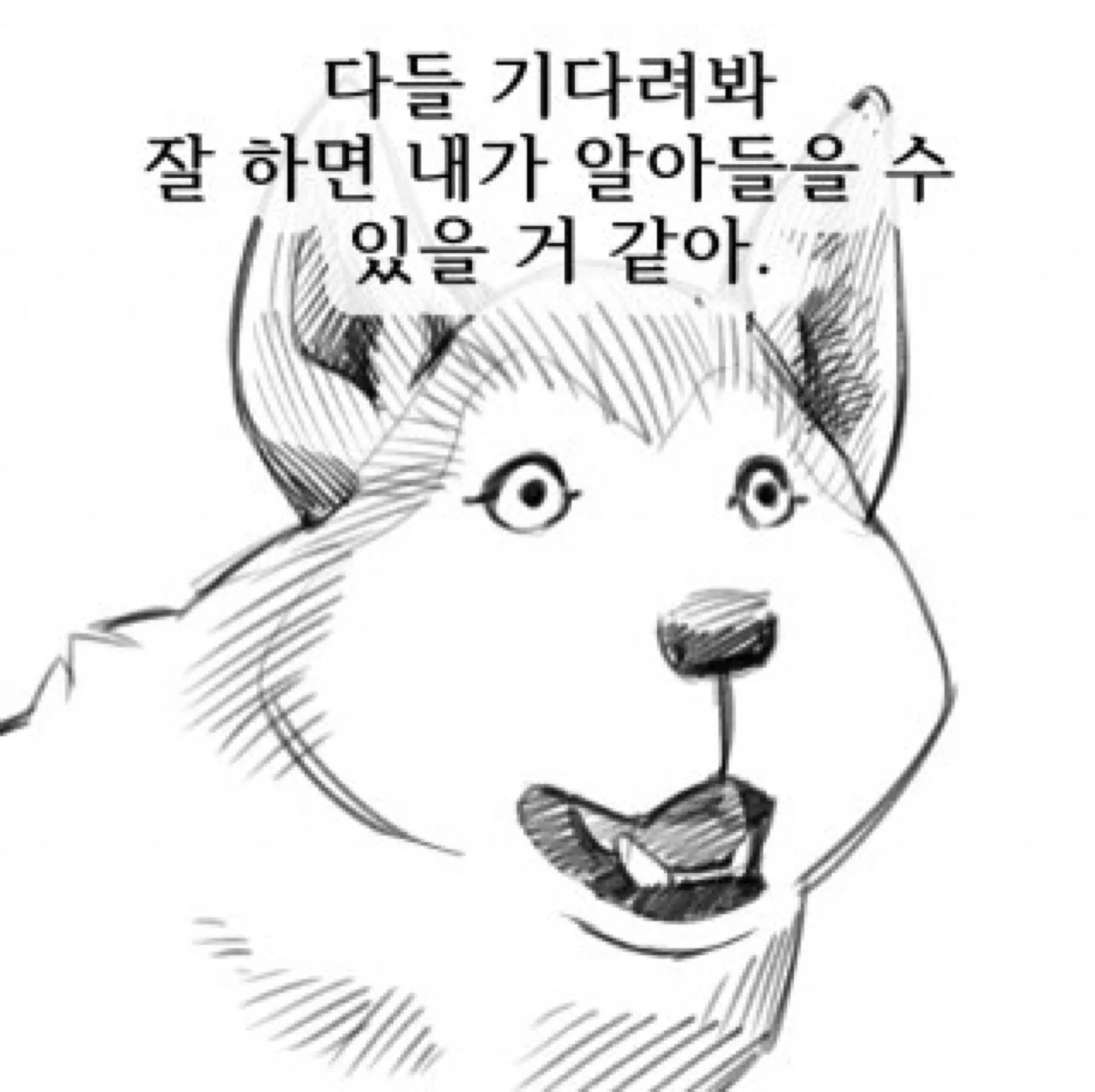 식충