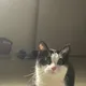 이륾