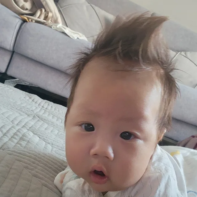 다크로미오