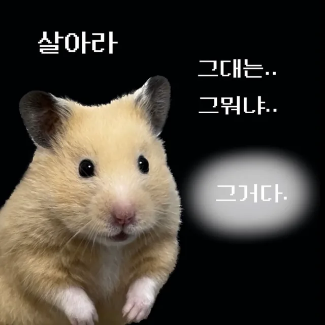 숨숨