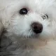 뽀뽀