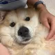 무왕