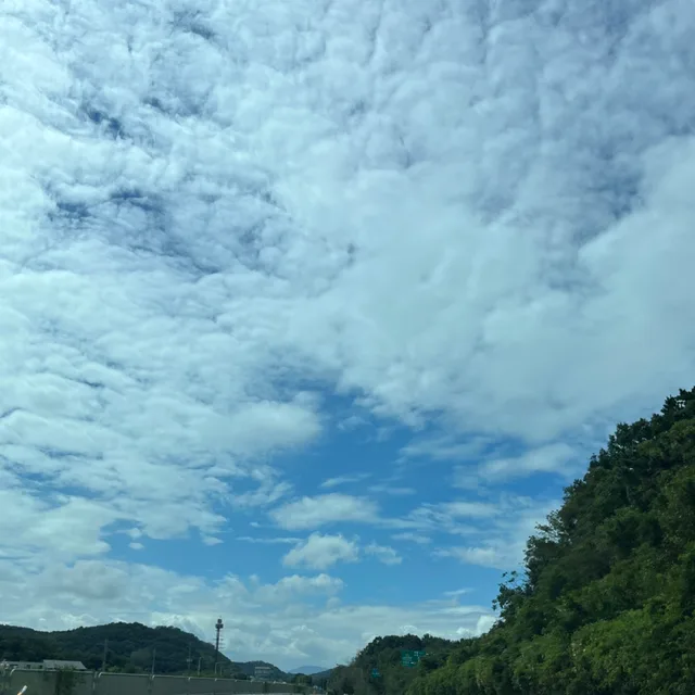 용돈벌기