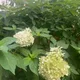 다시일어나