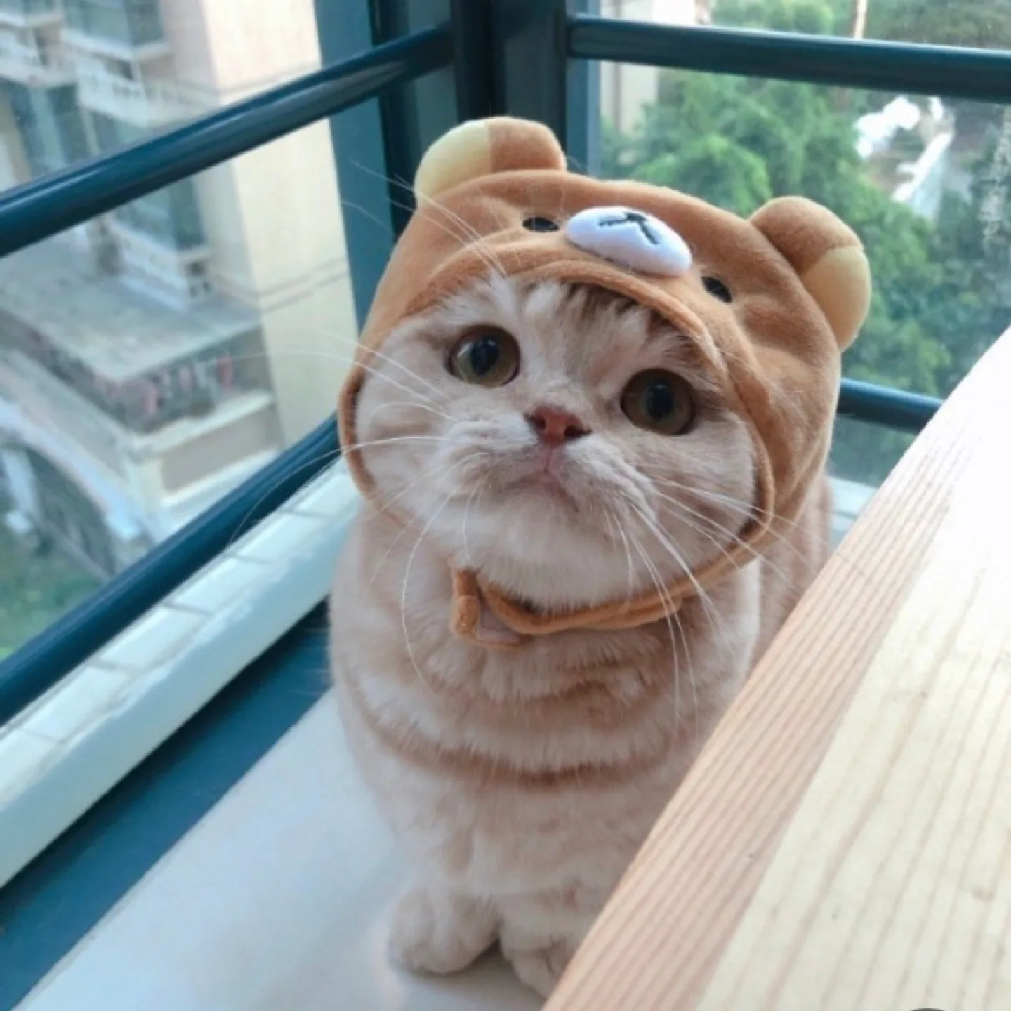 쿵쿵