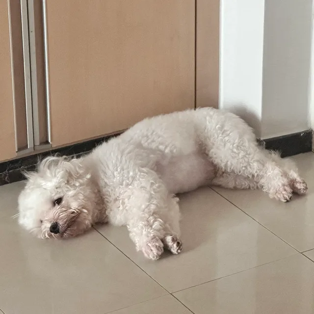 희히힛