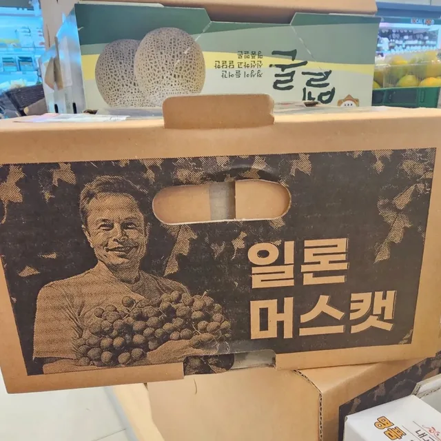 일론머스캣