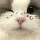 젊은사업가냥이